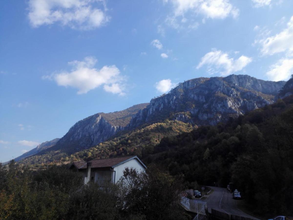 Ana Homestay Baile Herculane