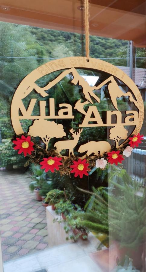 Ana Homestay Baile Herculane
